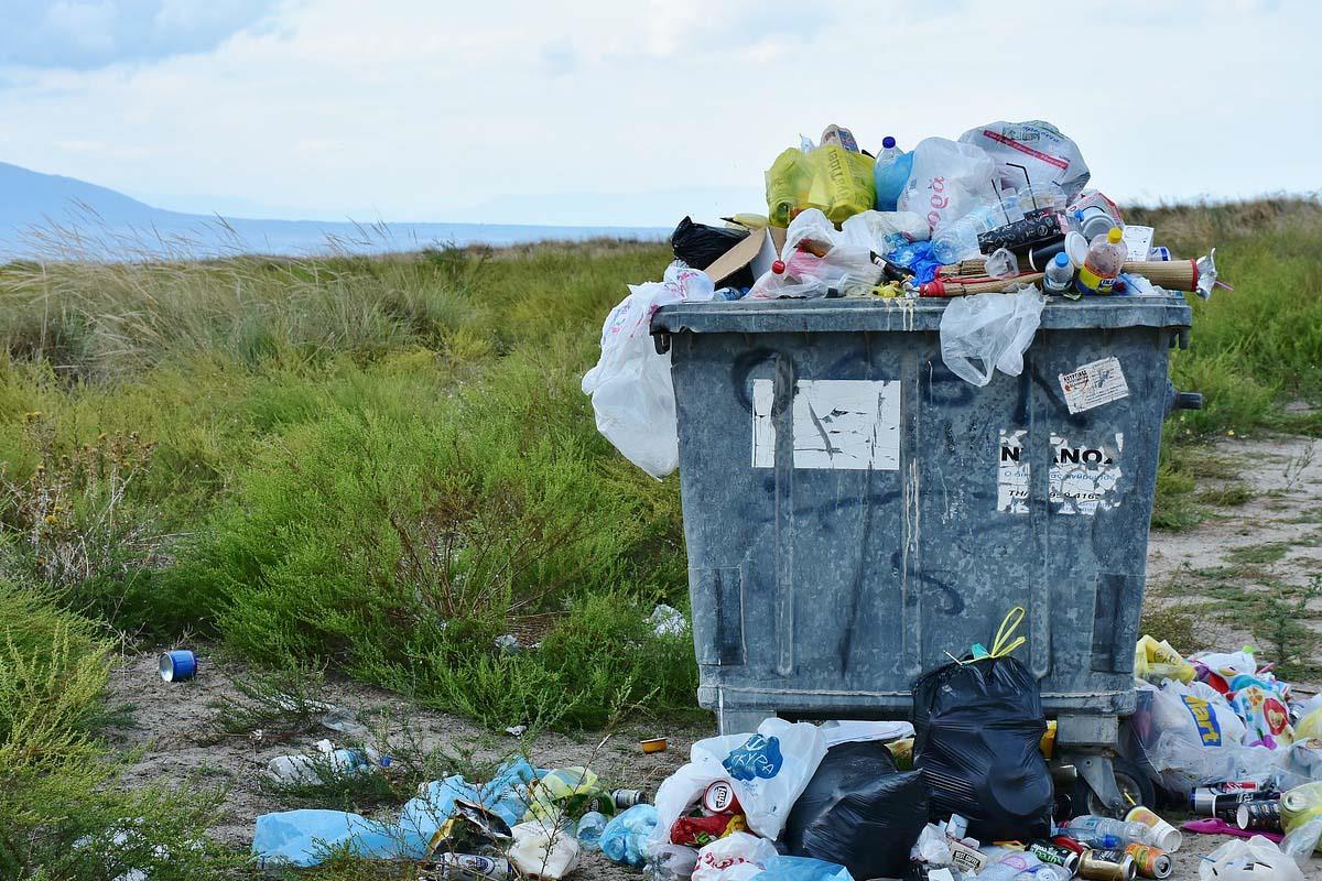 En el escrito exponen detalladamente los diferentes motivos por los que le galardonaron con el premio “Atila” a la Peor Conducta Ambiental