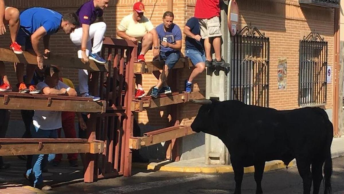 El festejo taurino se ha cancelado y el tercer toro ya no ha llegado a salir