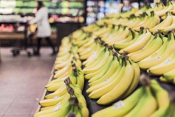 El consistorio elabora un directorio con esta información y se hace eco de la recomendaciones de Sanidad para hacer la compra