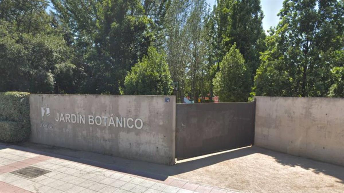 'Verano en el Botánico' regresa una semana más con un sinfín de propuestas