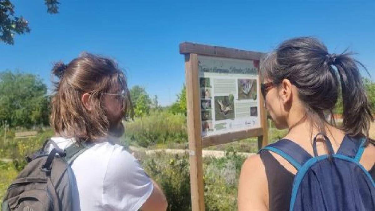 Durante la jornada se realizaron varias paradas para identificar aves y plantas