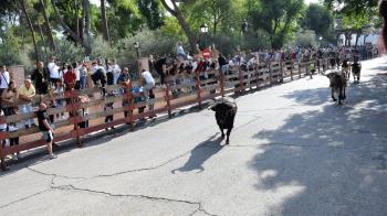 El difunto, vecino de Móstoles, tenía 65 años