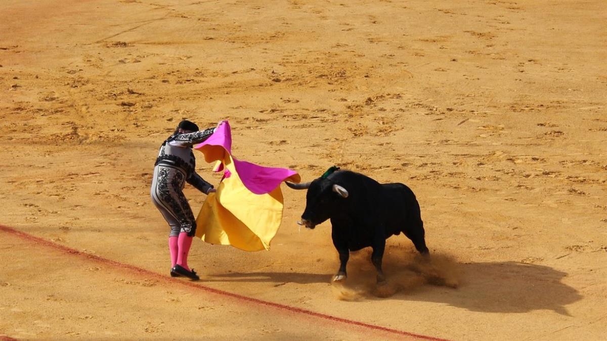 Como novedad, este año tendrá lugar la suelta del toro de la sierra