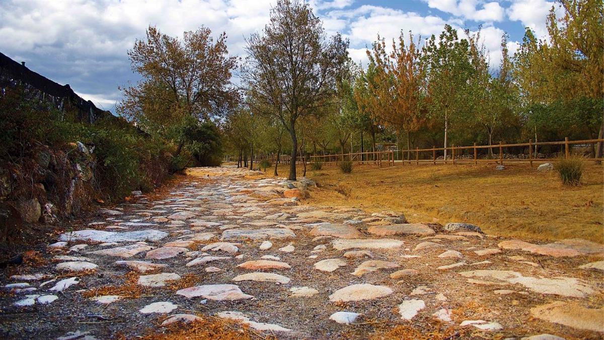 El Ayuntamiento de Galapagar implanta la I Fiesta de la Trashumancia 