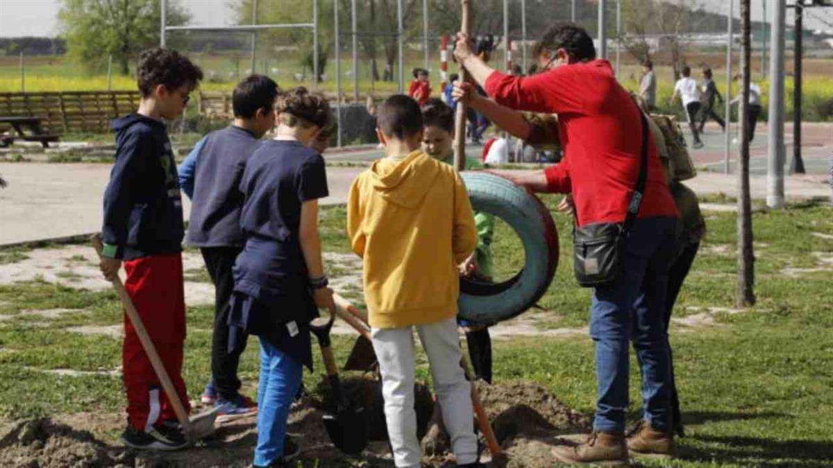 En conmemoración del Día del Árbol, el gobierno local junto a los alumnos plantaron 20 nuevos ejemplares