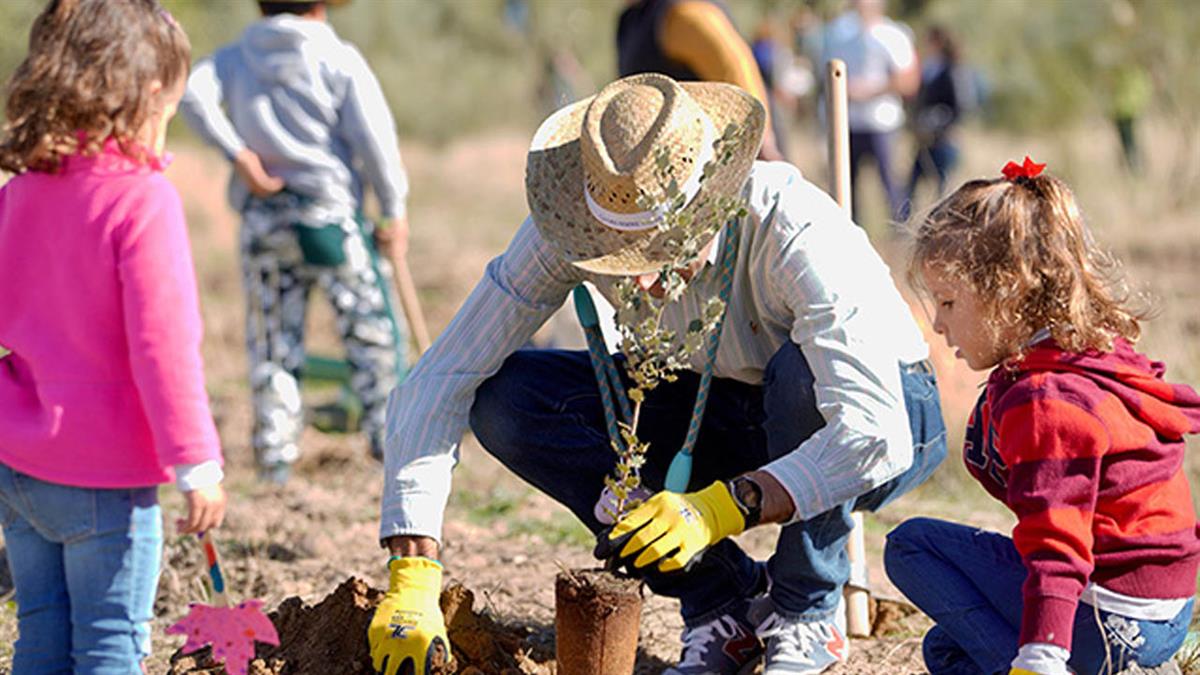 Los vecinos plantan cerca de 3.500 árboles