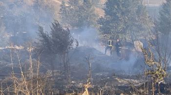 15 dotaciones de Bomberos de la Comunidad de Madrid han tenido que participar 