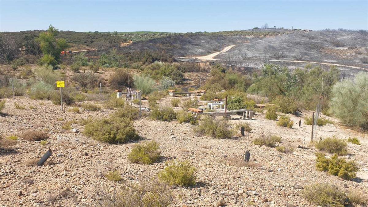 Se prevé que la superficie afectada por el fuego asciende a 240 hectáreas