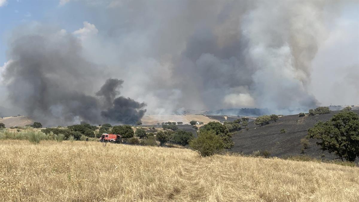 El balance final del siniestro es de 535 hectáreas afectadas