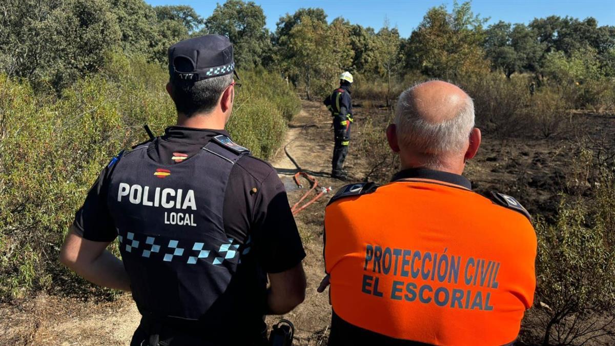 El fuego se focalizó en la zona verde de la Quinta Fase de esta zona