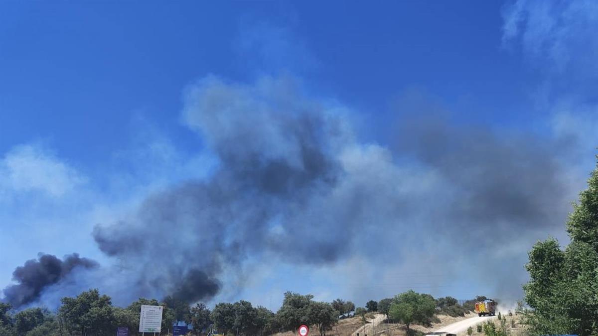 Los servicios de emergencias ya están actuando para extinguirlo