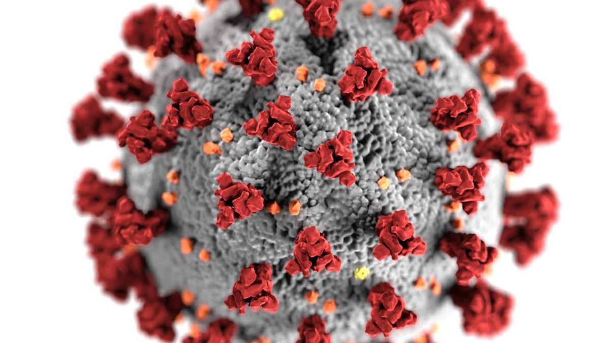 La nueva variante de COVID-19, Ómicron hace subir los contagios.