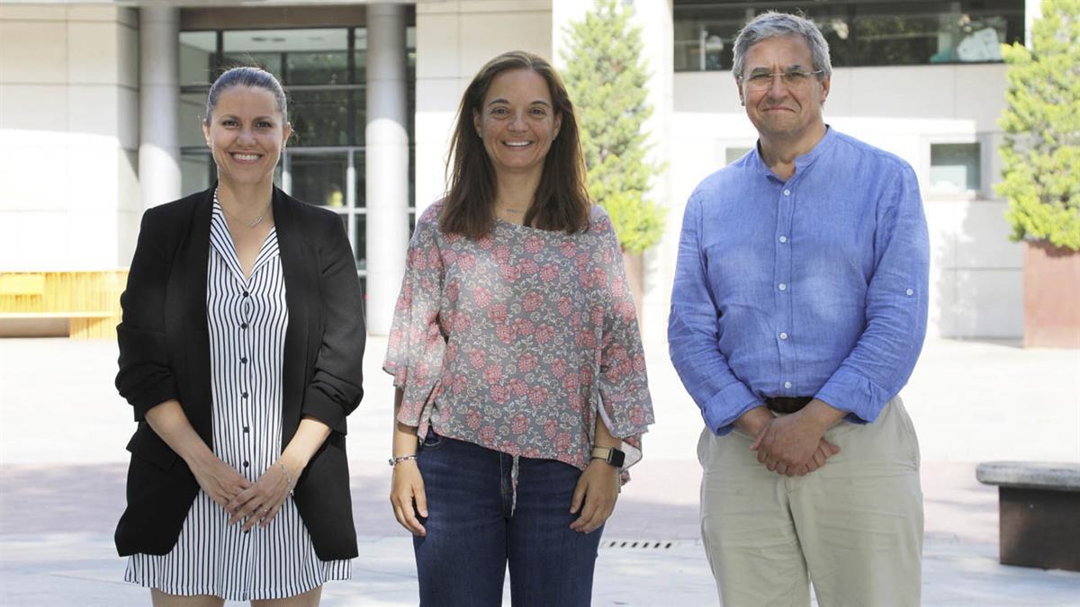 La formación lleva manteniendo reuniones con el PSOE desde junio 