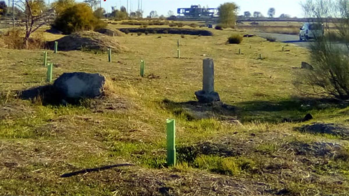 Ecologistas en Acción Suroeste reivindica la protección y el valor de este soporte natural