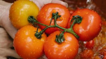 Llegan las tapas con tomate de la huerta a la IV Feria Goyesca 