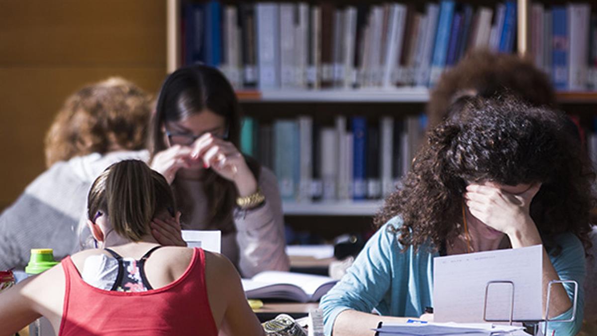 Los edificios municipales crecen gracias a los estudiantes