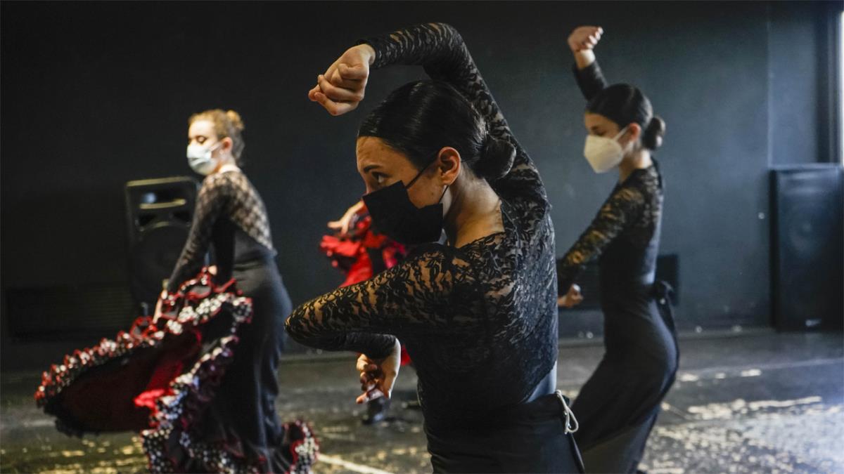 Incorporan la especialidad de ballet clásico y mantienen la especialidad de danza española