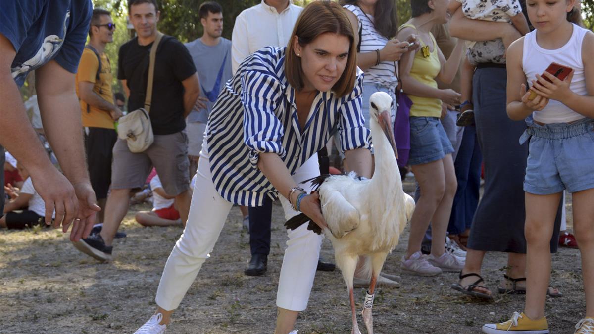 Casi una quincena de pollos recuperados en el Hospital de Fauna Salvaje