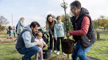 El Parque Forestal Adolfo Suárez del municipio cuenta hoy con 199 nuevos árboles 