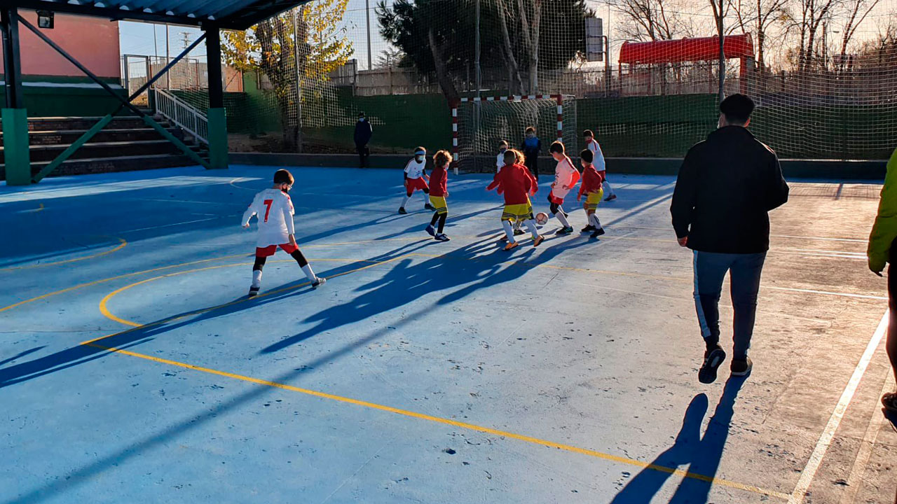 El aumento de casos ha obligado al consistorio a paralizar el servicio