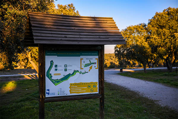 La concejalía de Deportes lanza un mapa interactivo para que los loceños conozcan las instalaciones que están cerca de sus casas