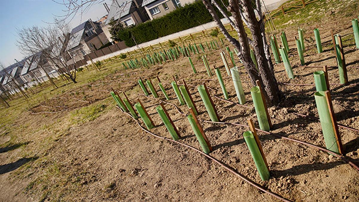 La nueva zona de esparcimiento canino se enmarca en la remodelación completa del talud de la calle Carmen de Burgos 