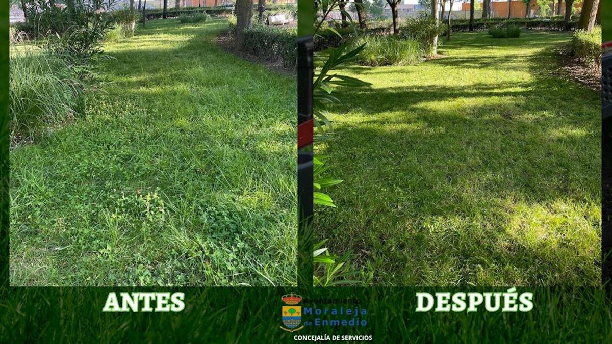 El Ayuntamiento está ejecutando trabajos de desbroce y mantenimiento de las zonas verdes del municipio