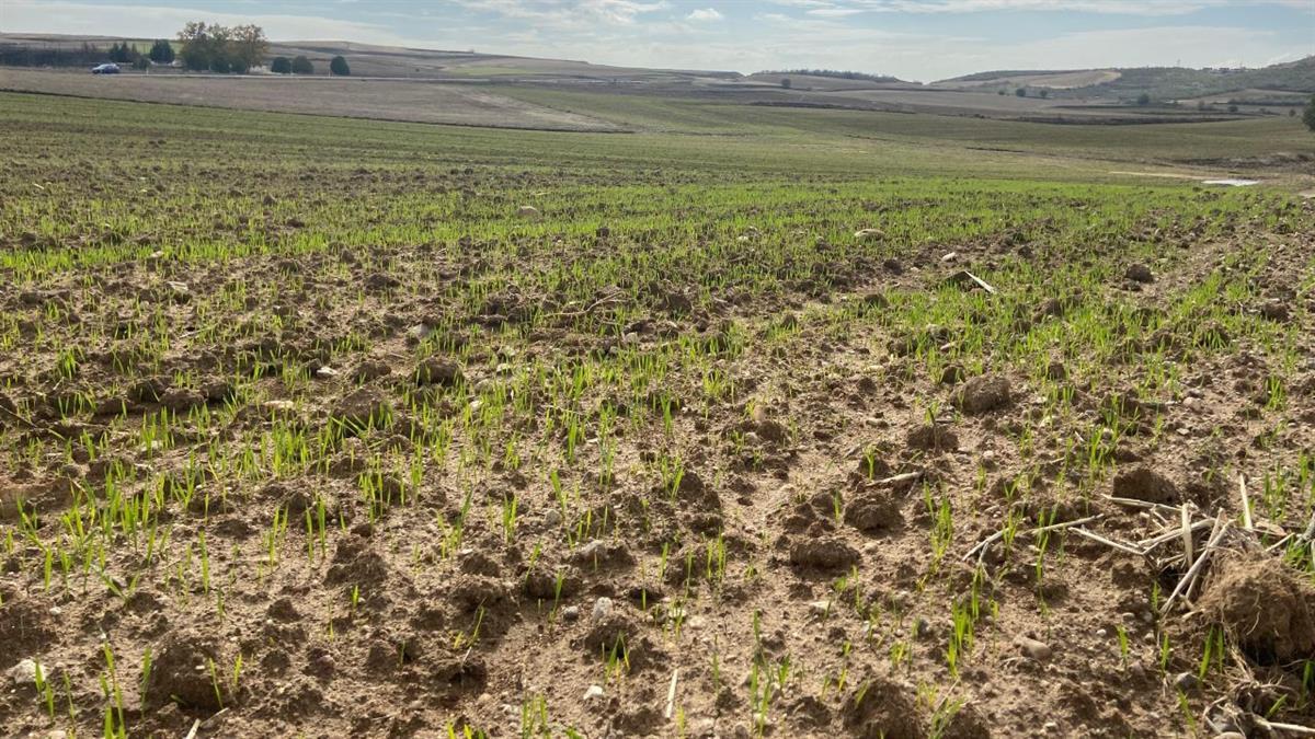 Las tareas tuvieron que ser paralizadas por las últimas lluvias