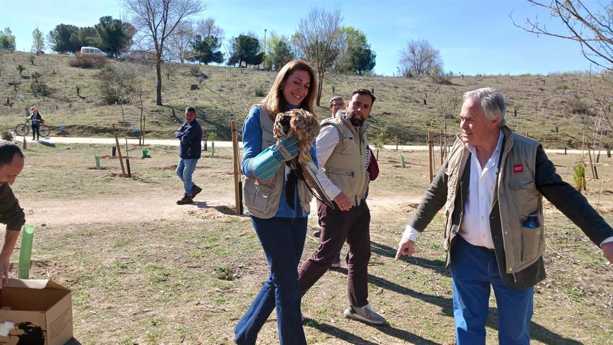 La Comunidad de Madrid acondiciona los arroyos Meaques y Valchico