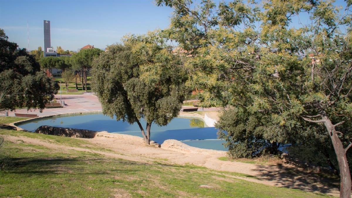 Los participantes recibirán unas miniguías sobre la avifauna mediterránea 