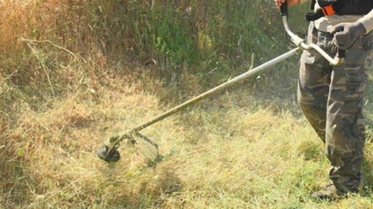 Los propietarios tendrán veinte días hábiles para proceder a su limpieza