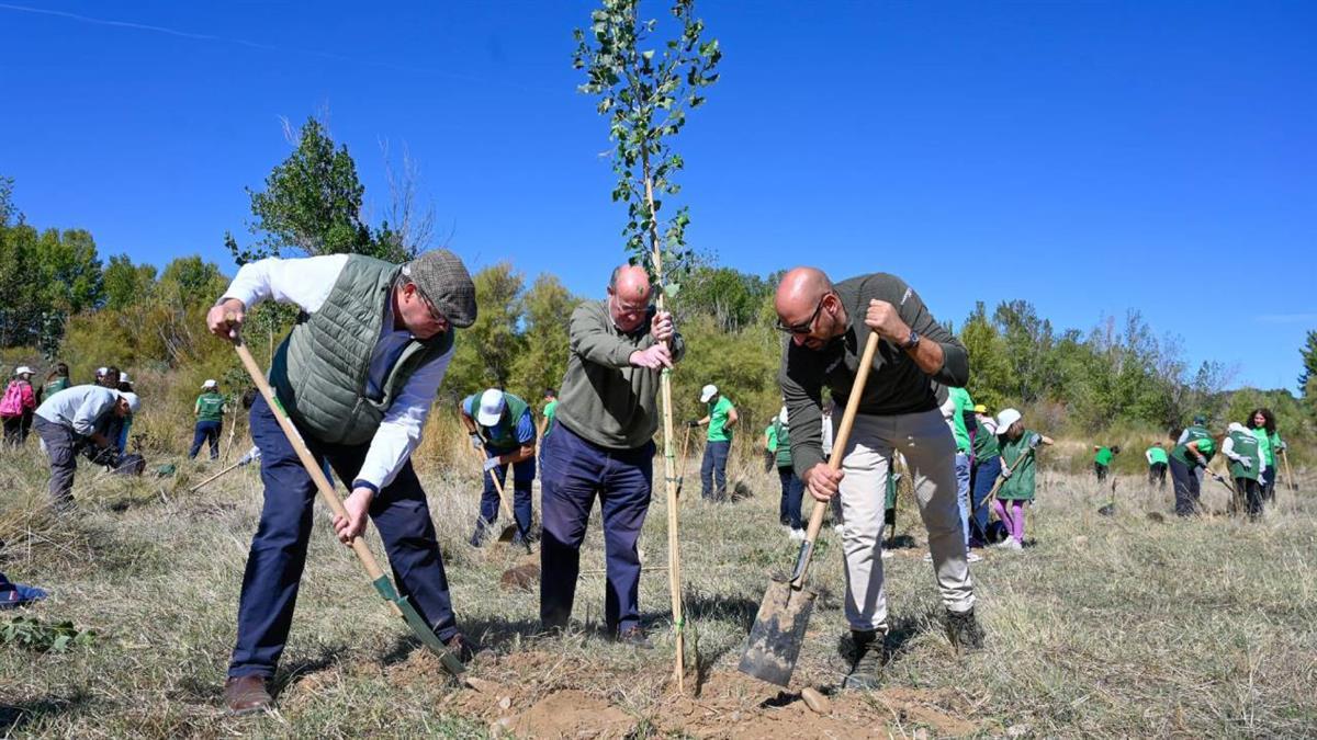 Esta acción se enmarca en el compromiso del equipo de Gobierno con el medio ambiente