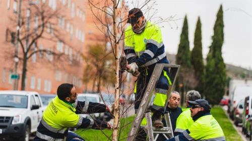 ¿Más de 200 nuevos ejemplares para Sanfer?