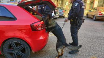 La Policía Local del municipio llevará a cabo una campaña de control de alcoholemia, drogas y velocidad 