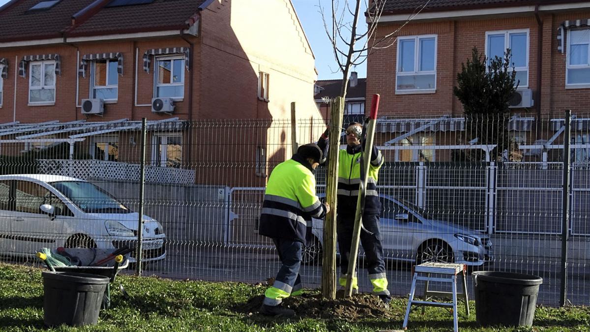 El objetivo es seguir incrementando el patrimonio verde de Alcalá