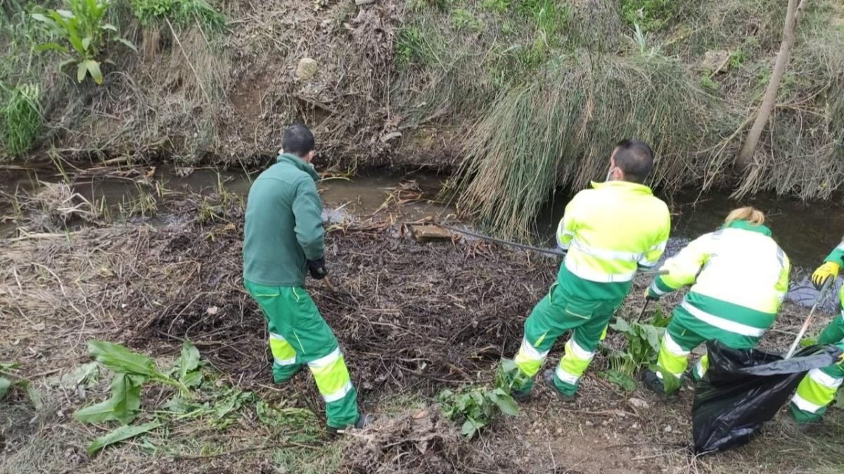 Este proyecto se engloba dentro del Plan de Acondicionamiento Integral del Arroyo Camarmilla