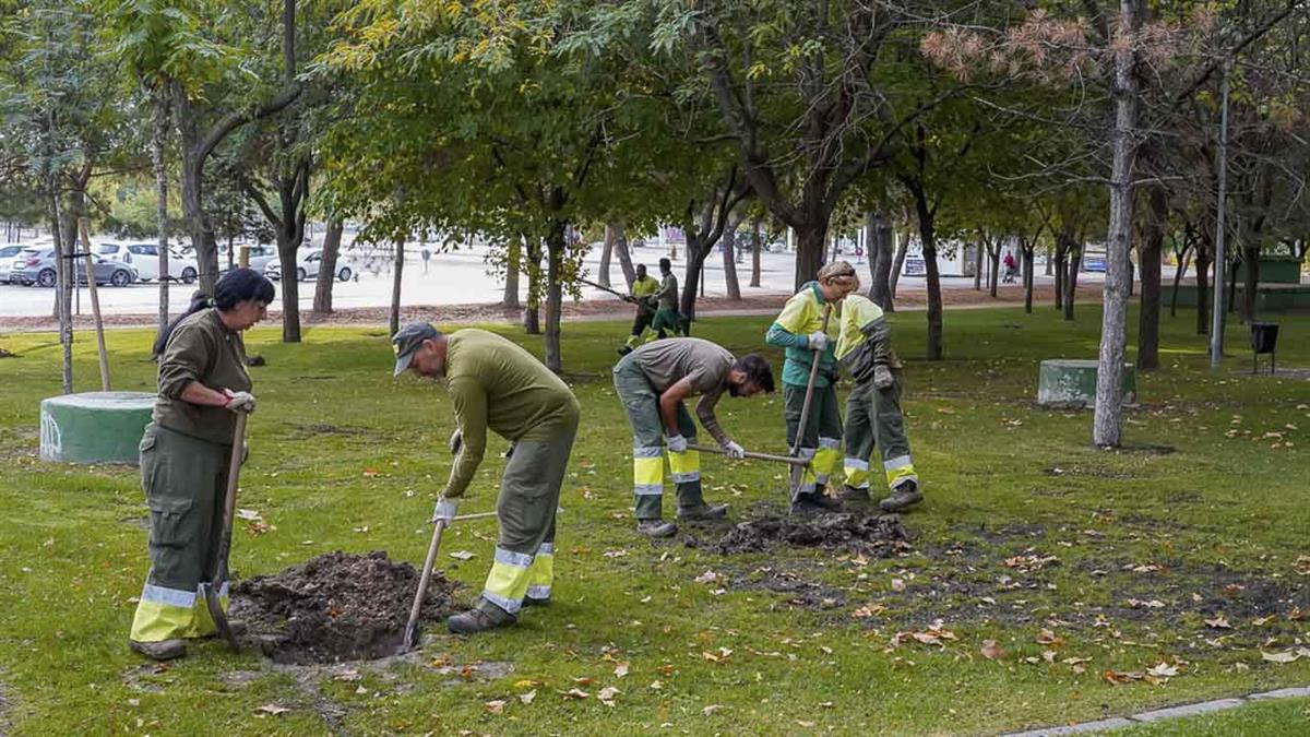 El Ayuntamiento ha impulsado obras para mejorar la accesibilidad y el arbolado del Recinto Ferial de nuestra ciudad 