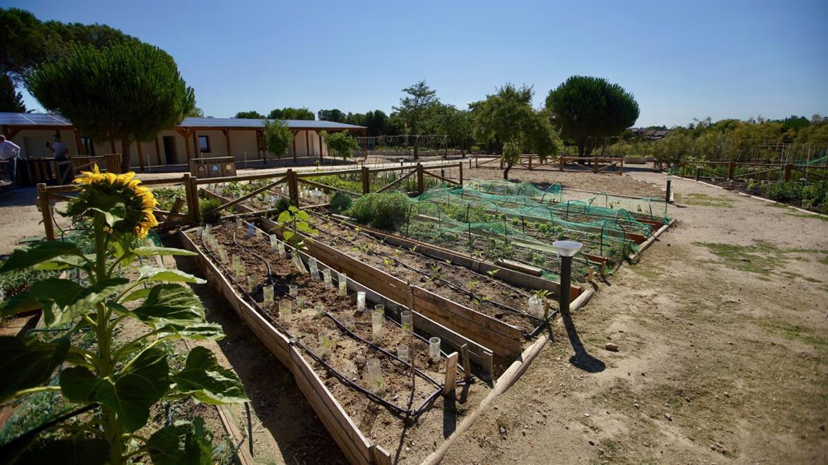 Productores, agricultores y hortelanos podrán vender su cosecha durante la jornada