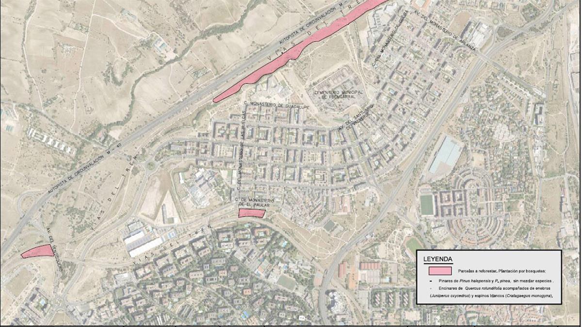 El Ayuntamiento reforestará zonas verdes del distrito de Fuencarral-El Pardo en las proximidades de instalaciones ferroviarias y carreteras con un total de 3.120 árboles