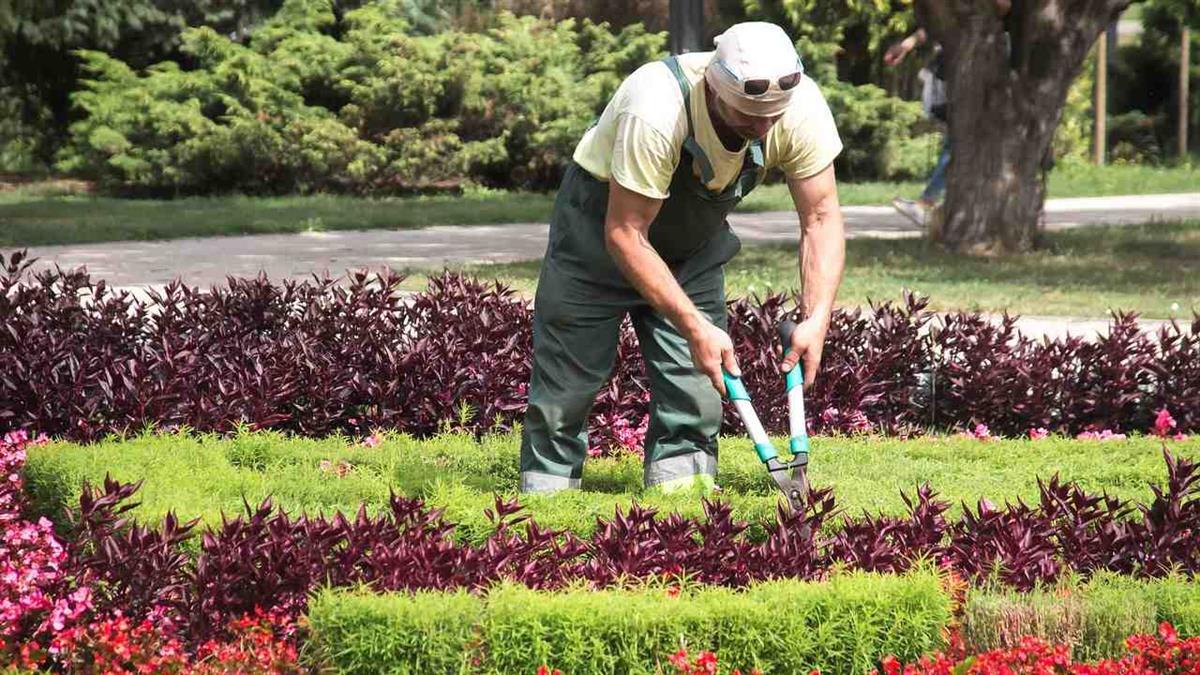 La Oficina de Empleo abre un nuevo proceso de selección para contratar a 10 personas