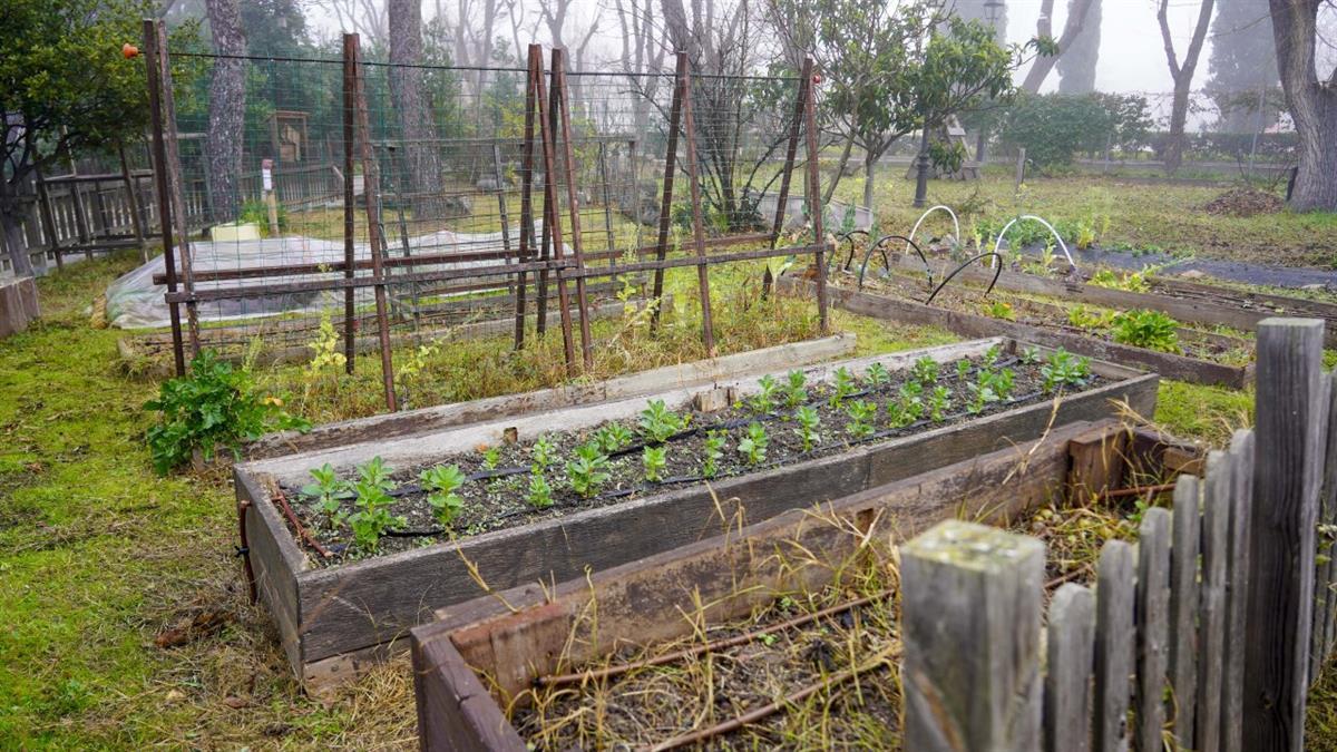 Los nuevos beneficiarios podrán hacer uso de estos espacios durante dos años