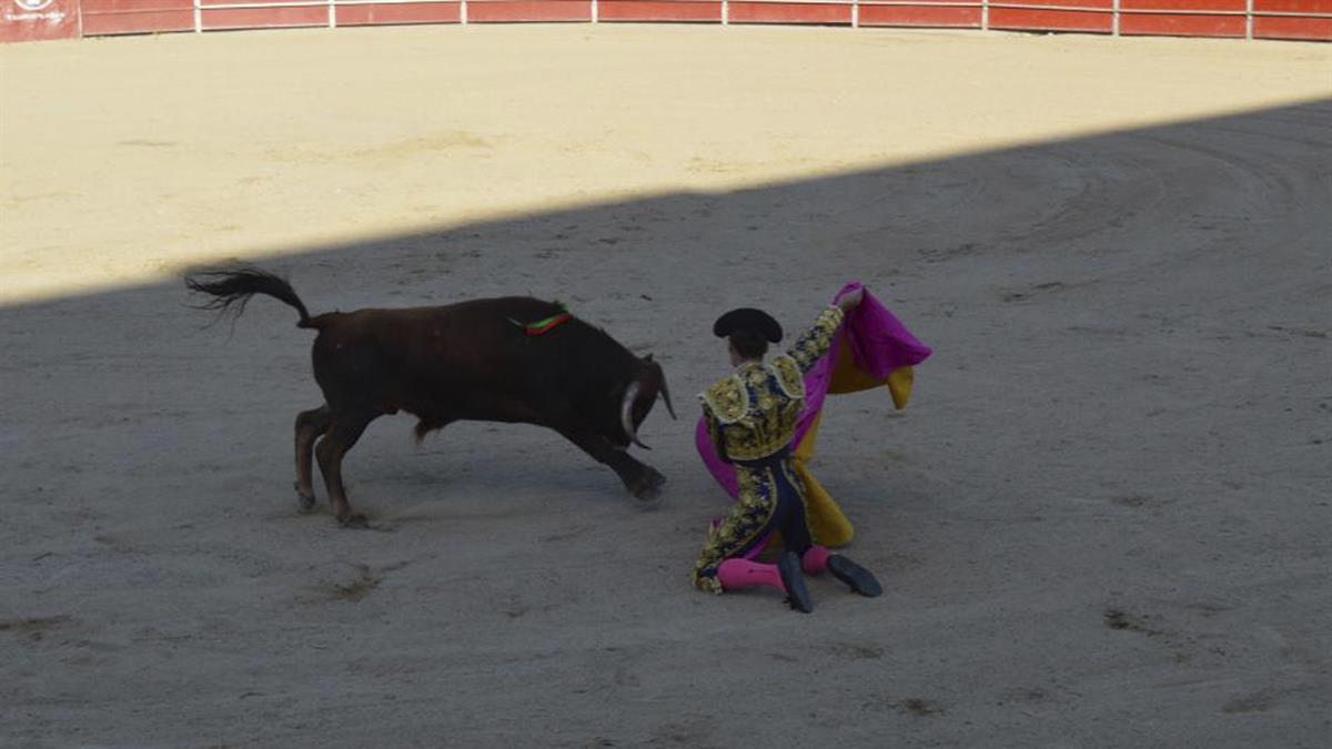 Ha tenido lugar en la plaza de toros de Humanes 