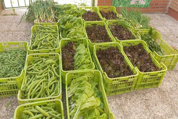 Los productos agrícolas llegarán a las familias del municipio en situación de vulnerabilidad