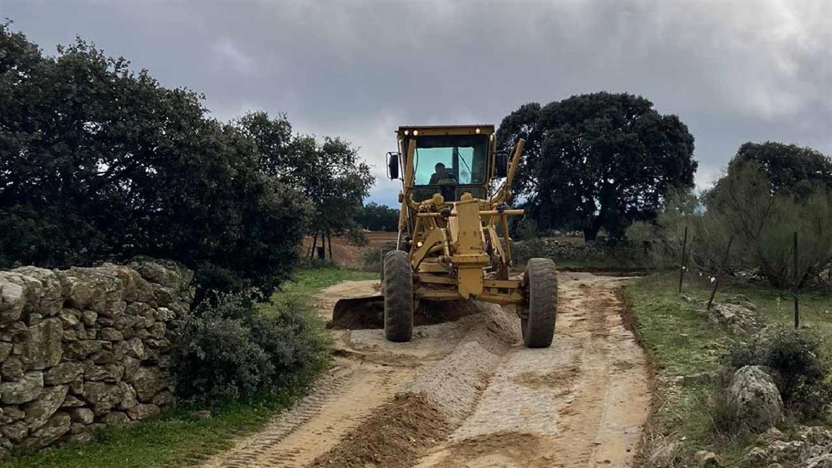 El nuevo asesoramiento para agricultores y ganaderos de la Comunidad de Madrid 