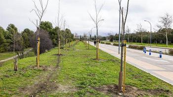 Se ha iniciado la renaturalización del entorno de la calle Isaac Albéniz