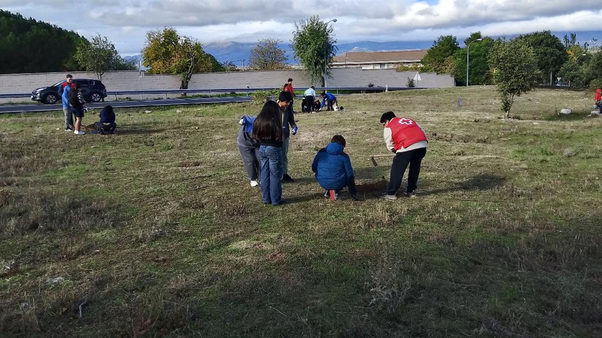 Casi cien ejemplares de árboles y arbustos plantados en la celebración del Día Internacional contra el Cambio Climático