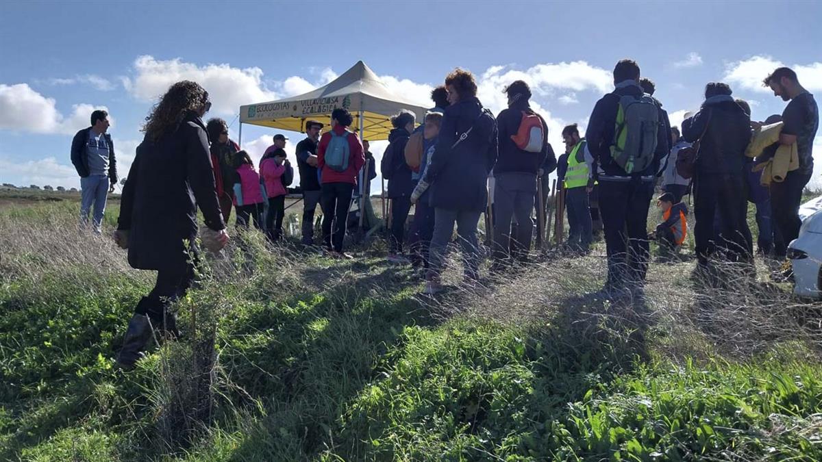 La plantación tendrá lugar en los límites de la vía pecuaria y el cauce del arroyo