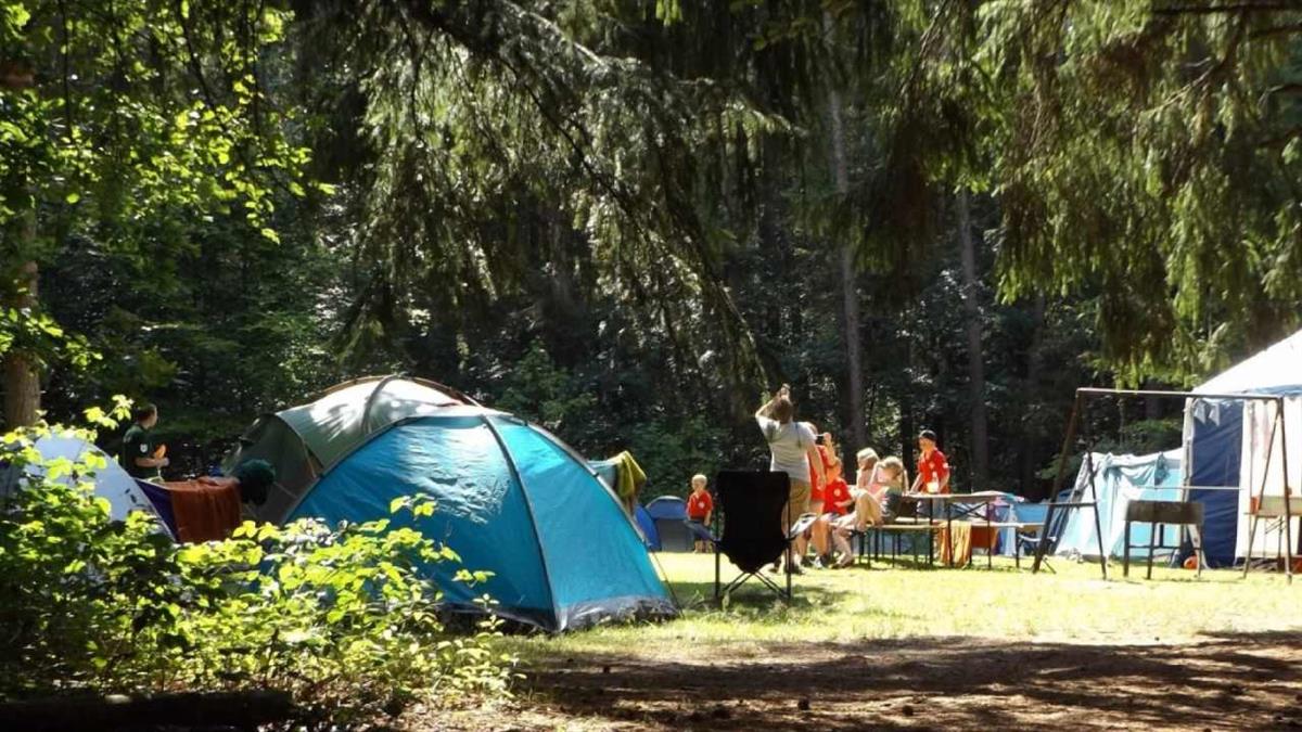 La Comunidad de Madrid ofrece 950 plazas para los meses junio, julio y agosto