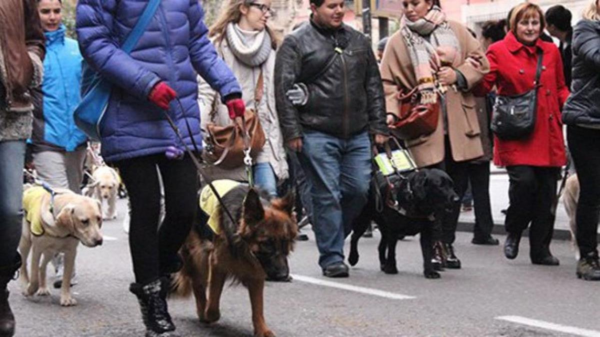 Con actividades desde el 12 hasta el 19 de enero