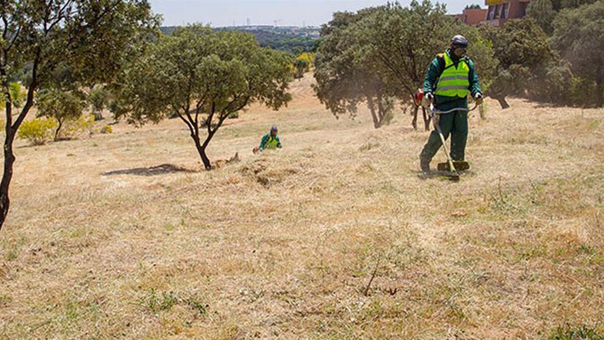 El Ayuntamiento pide limpiar y desbrozar los terrenos privados